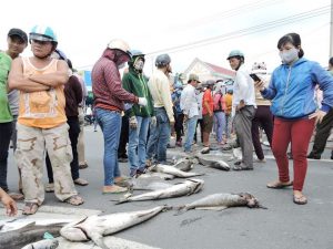 Người dân mang cá chặn quốc lộ 51 phản đối Sở Tài Nguyên Và Môi Trường.